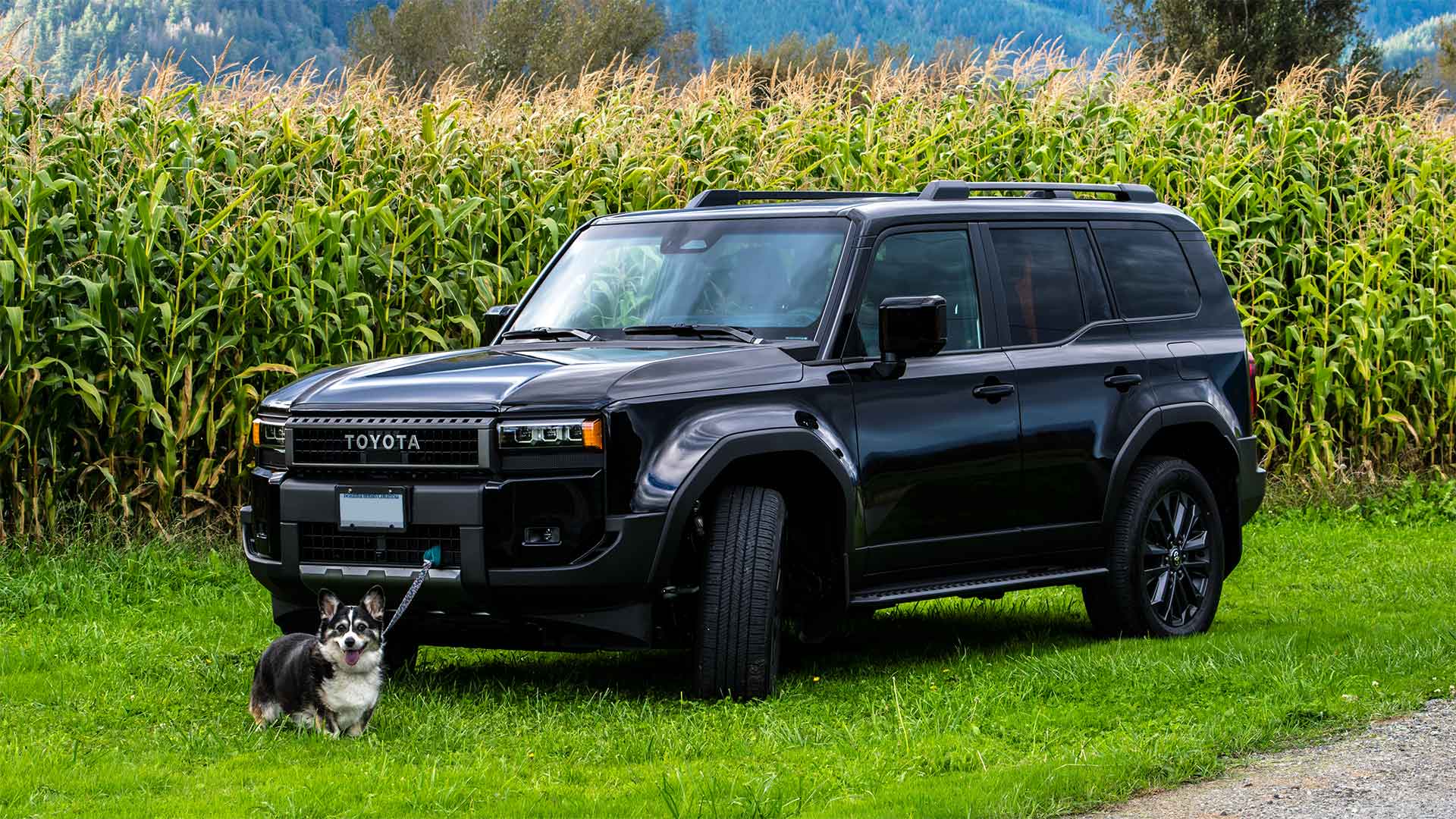 OK Autohub | Kelowna's Finest Automotive Retailer | Kelowna Cars and Used Autos